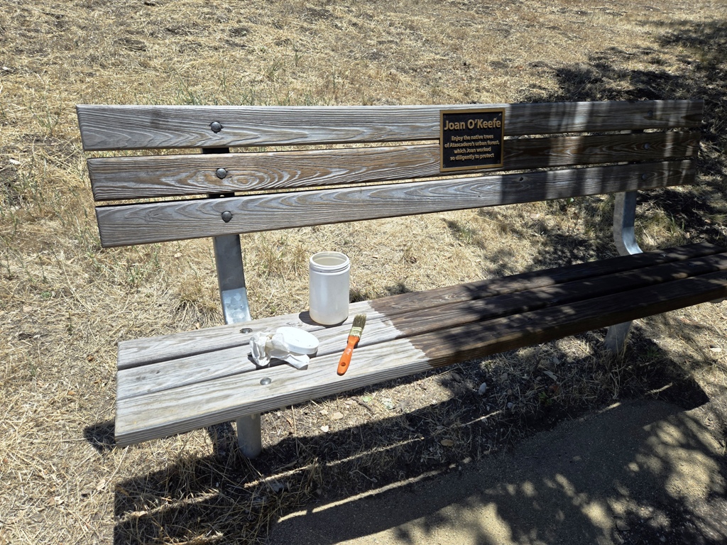 Bench just below the Pinal / Escarpa entrance.